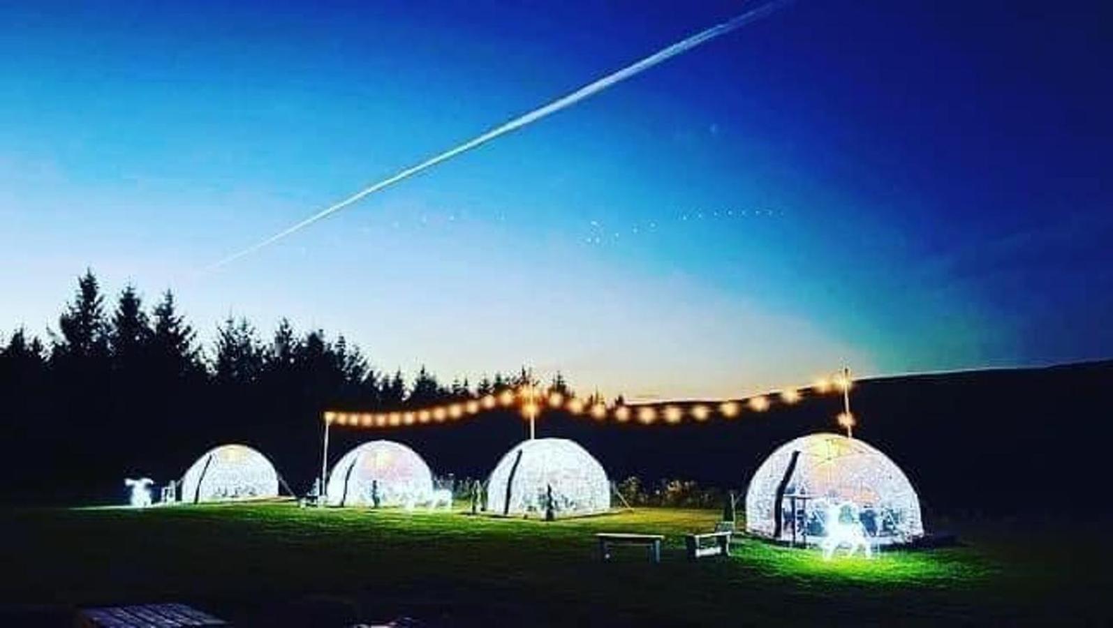 Afan Forest Retreat Cozy Getaway, Pet Friendly Cymmer Exteriör bild